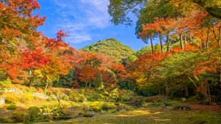 紅葉狩りへ行こう！筑後七国の秋を巡る旅