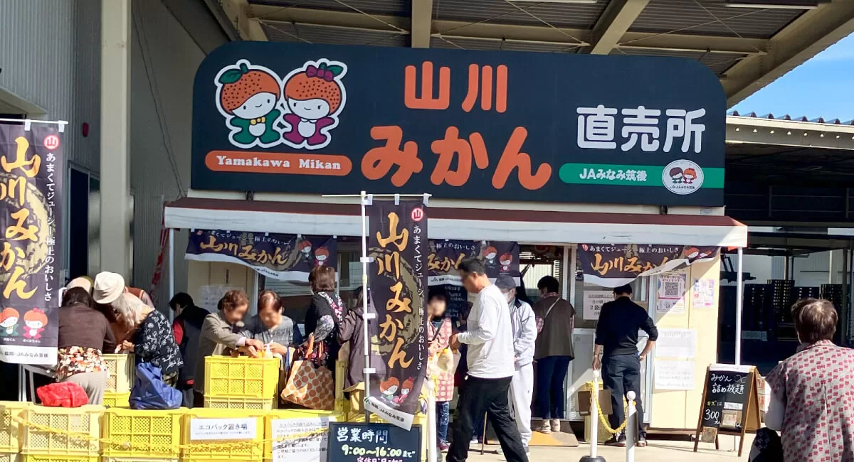 山川みかんをお得に買うなら「山川みかん直売所」へ！